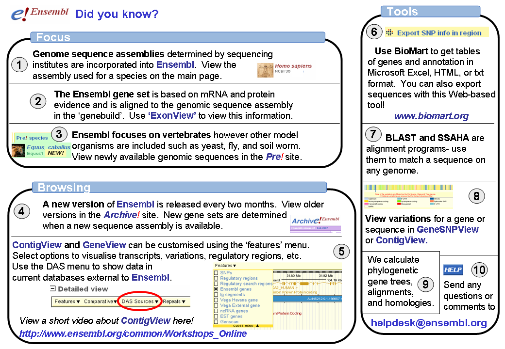 10 Facts About Ensembl