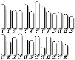 Zebrafish karyotype selector